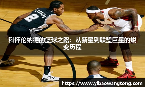 九游体育官网入口